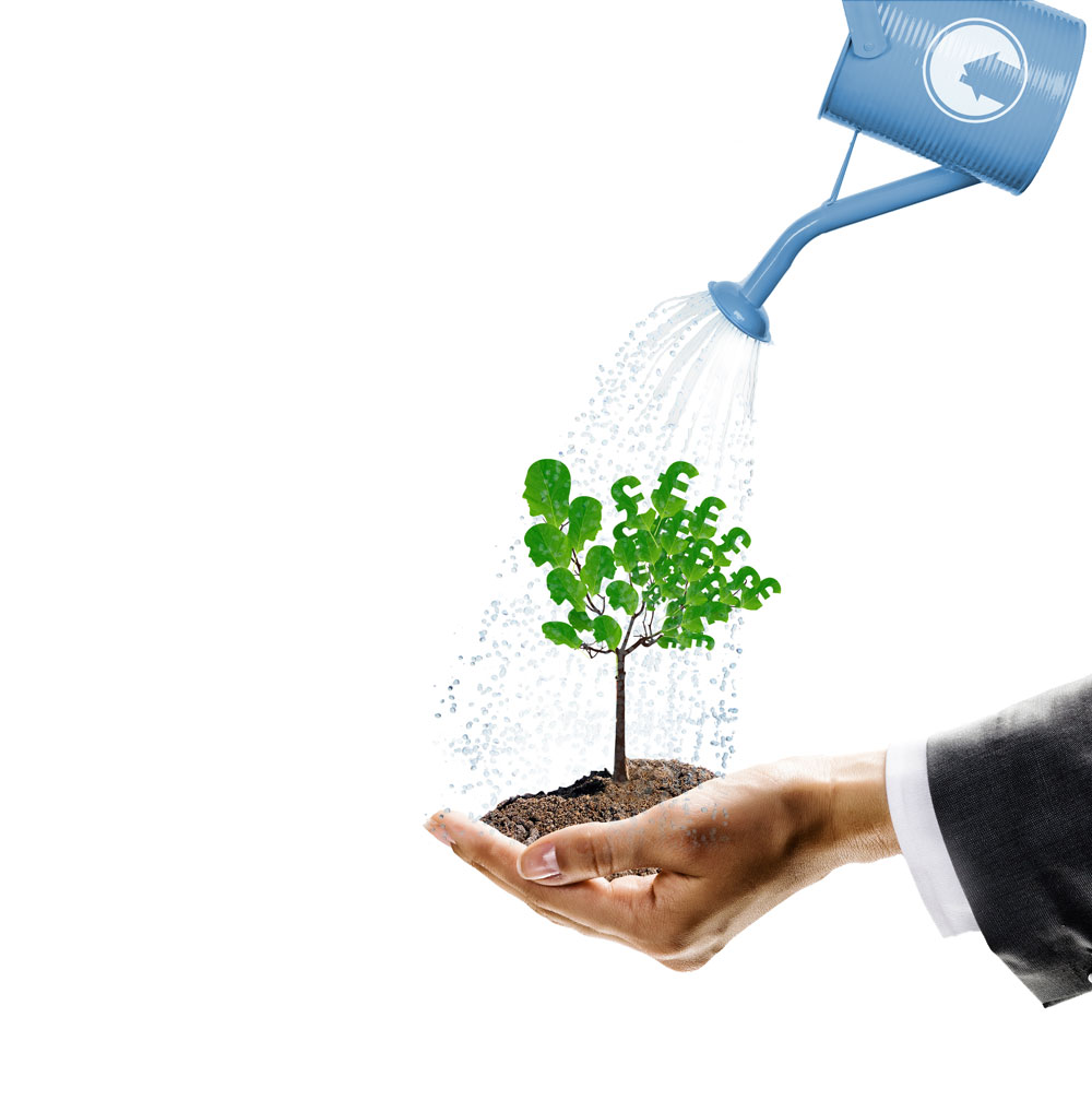money tree held in the hand of a man wearing a suit being watered to illustrate growth