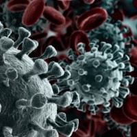 FCA and Bank of England reviewing firms’ coronavirus contingency plans