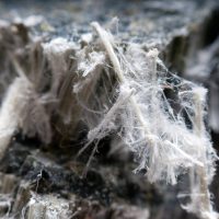 Deadline for commercical asbestos removal urgently needed, MPs say