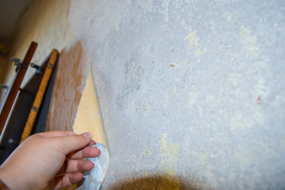 Renters look for fixer-uppers as route to homeownership – Rightmove