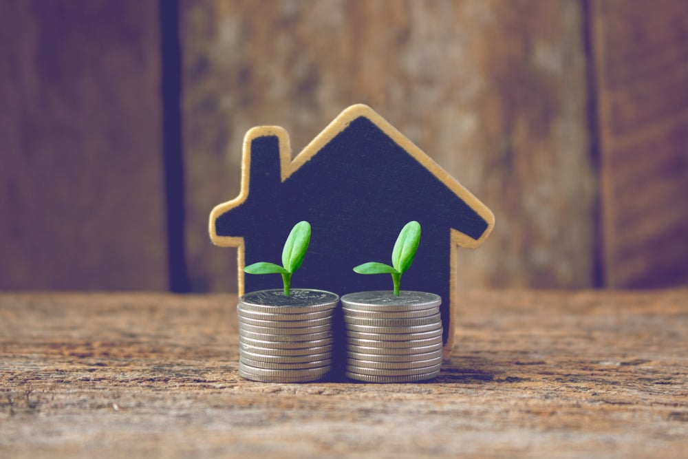 Ecology BS ups maximum LTV for home renovations