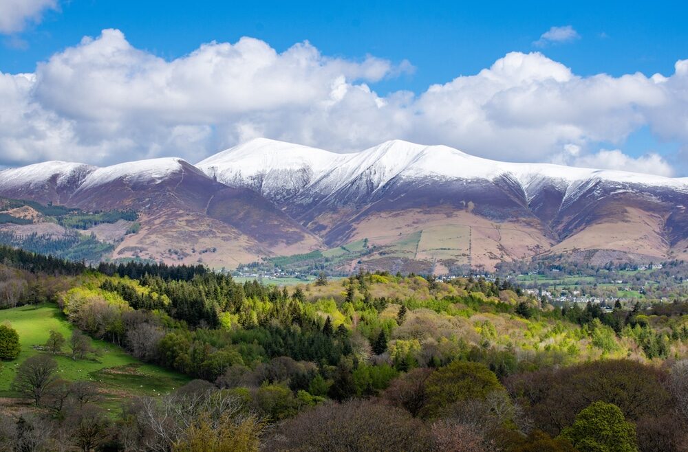 Mortgage and protection firms join Aviva for Skiddaw Forest Challenge